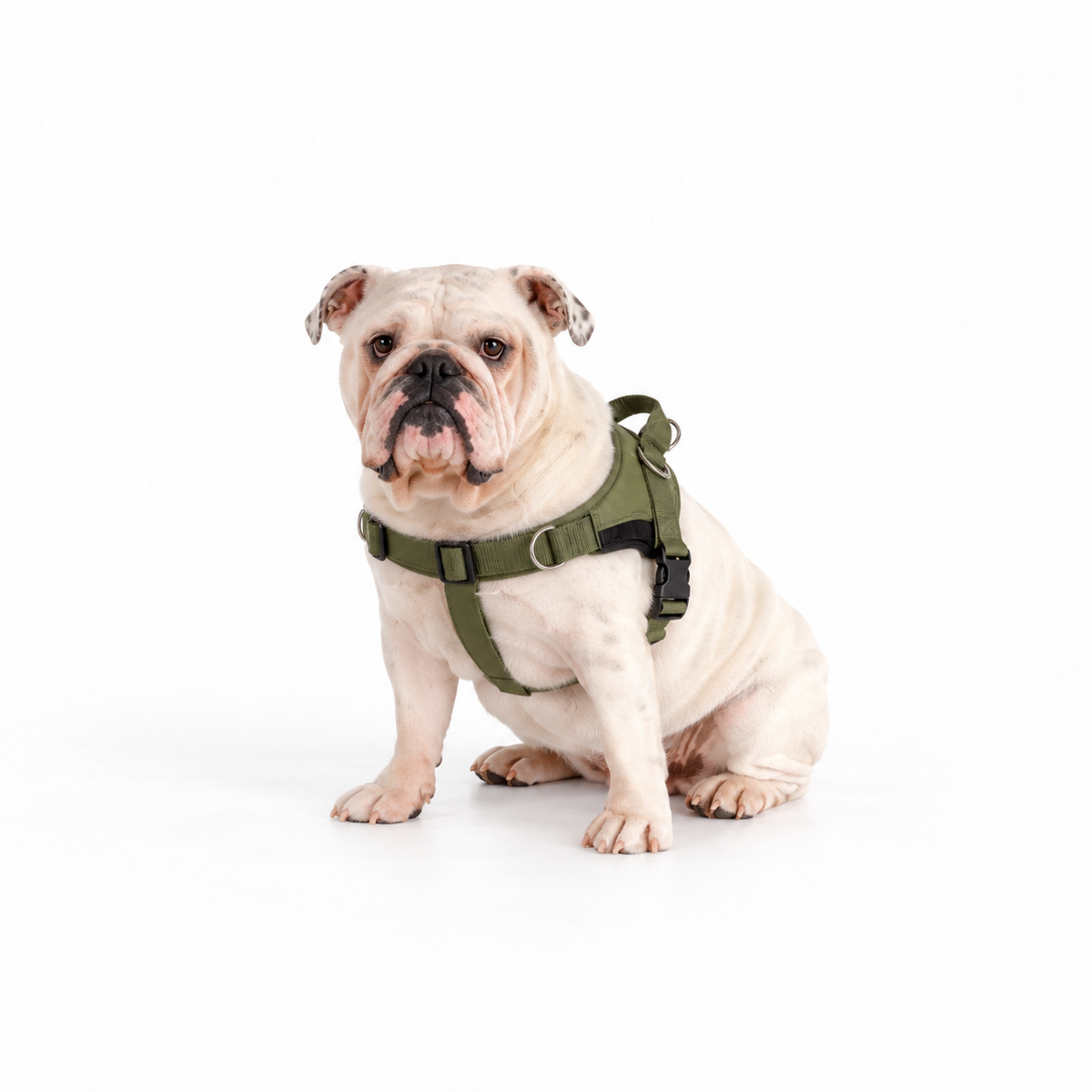 OLLO® Guardian