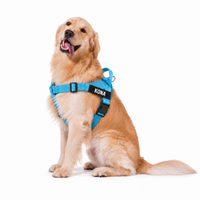 OLLO® Guardian