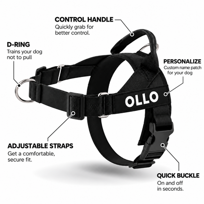 OLLO® Guardian